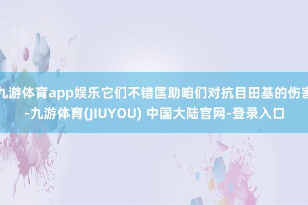 九游体育app娱乐它们不错匡助咱们对抗目田基的伤害-九游体育(JIUYOU) 中国大陆官网-登录入口